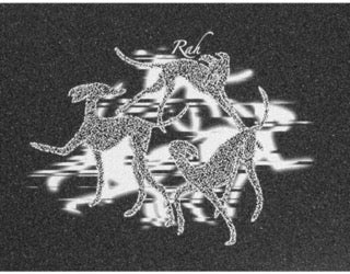 North Robin Hartmann Griptape