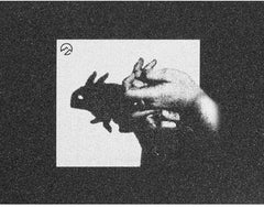 North Griptape Shadowplay